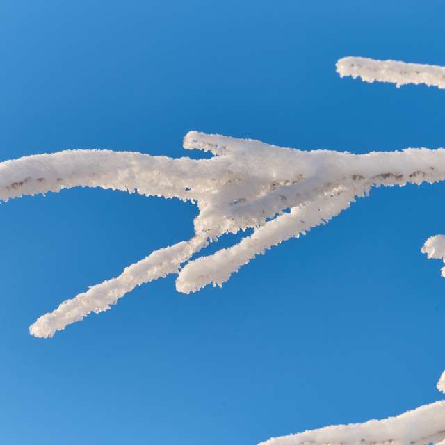 Прогнозы погоды с чудесными фотографиями, сделанными Aleh_Narushevich