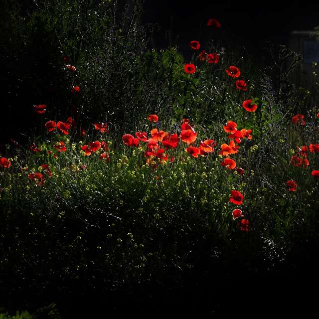 Front. Weather forecasts with beautiful photos by Михаил Гавриков Photos in Kharkiv