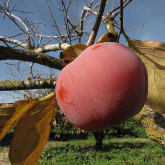 Eating. Weather forecasts with beautiful photos by Sviatoslav Photos in World