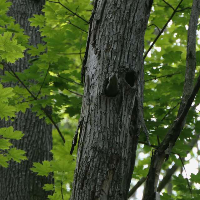 Fotos Verde. Previsões do tempo com lindas fotos de Vasek325 em Praha 4