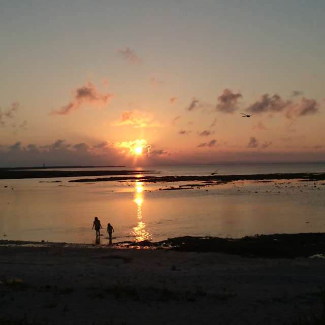 伊藤久美子我的页面 Weawow