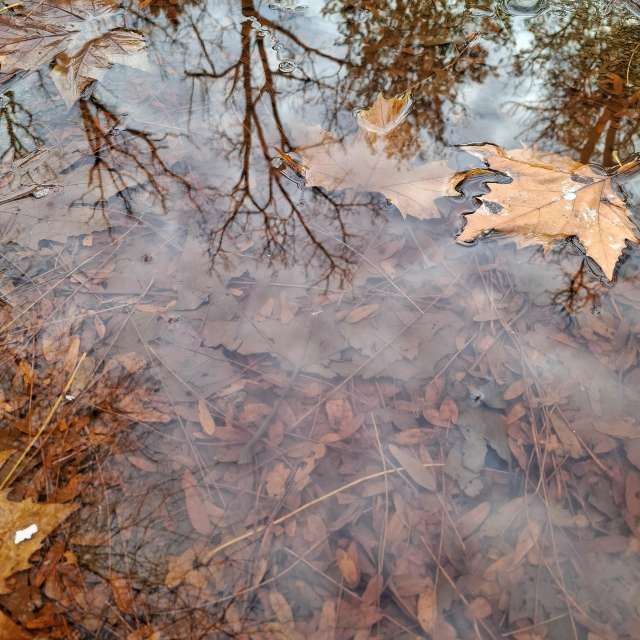 天气预报，带Aleksandar精美的照片