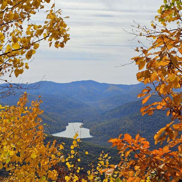 天气预报，带ImPe精美的照片