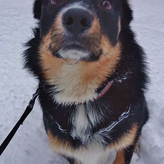 Front. Weather forecasts with beautiful photos by Михаил Гавриков Photos in Kharkiv