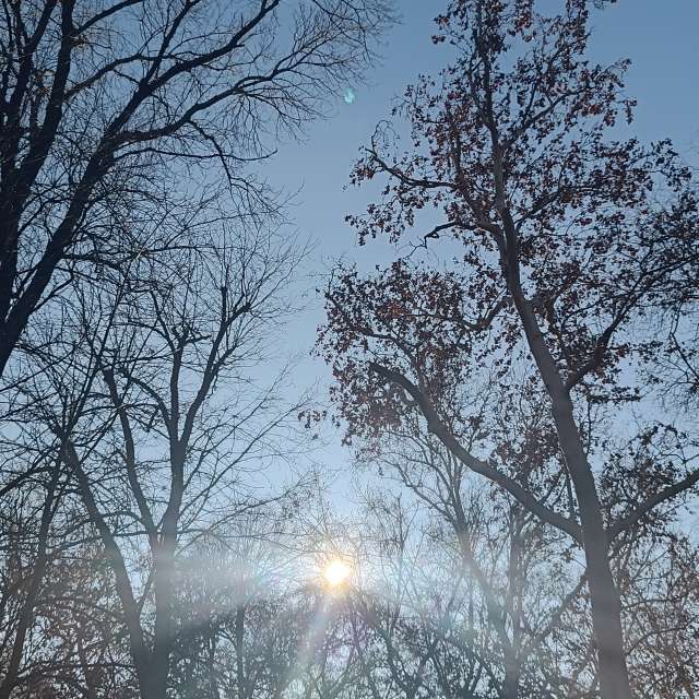 Fotos del Cruz. Pronósticos del tiempo con hermosas fotos de YanBog en București