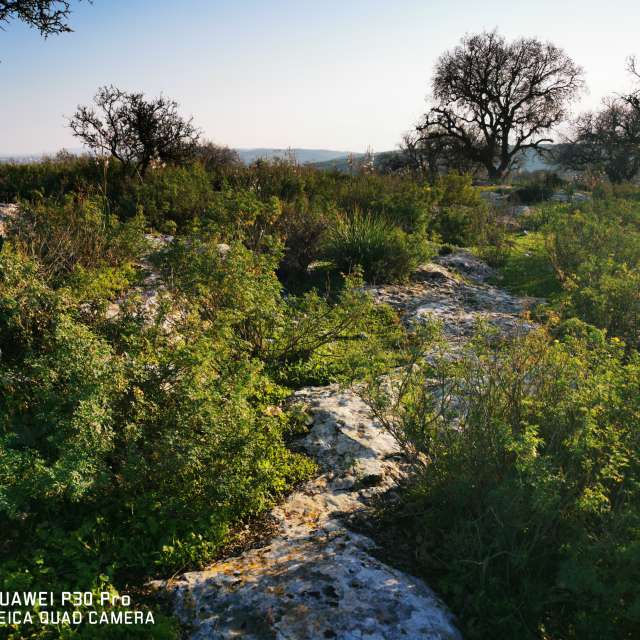 Rawwagahの美しい写真による天気予報