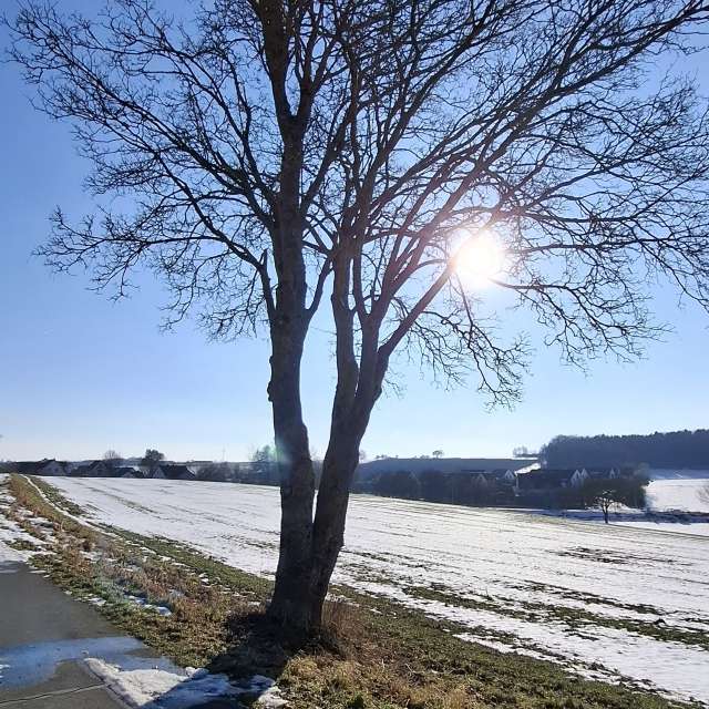 Dự báo thời tiết với những bức ảnh đẹp của Steffi316