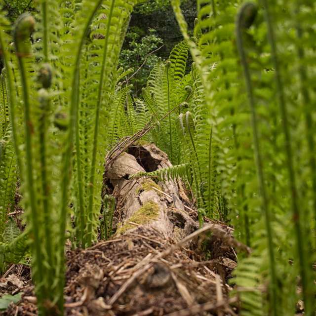 天气预报，带Axys精美的照片
