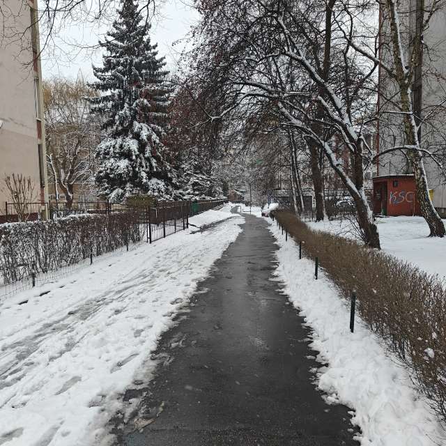 Fotos del Colina. Pronósticos del tiempo con hermosas fotos de zjabri en Cracovia