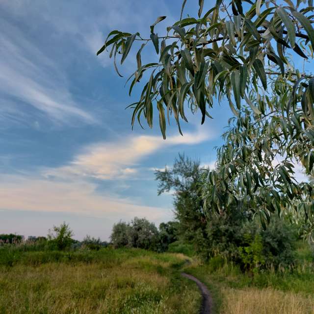 Goof. Weather forecasts with beautiful photos by Iryna Photos in Kharkiv