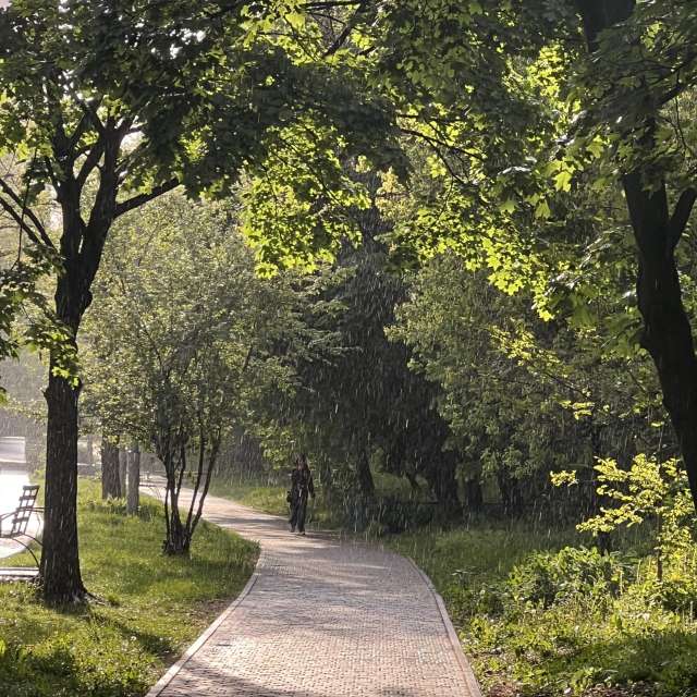 Weather Photos in World. Weather forecasts with beautiful photos by _veronikatis_