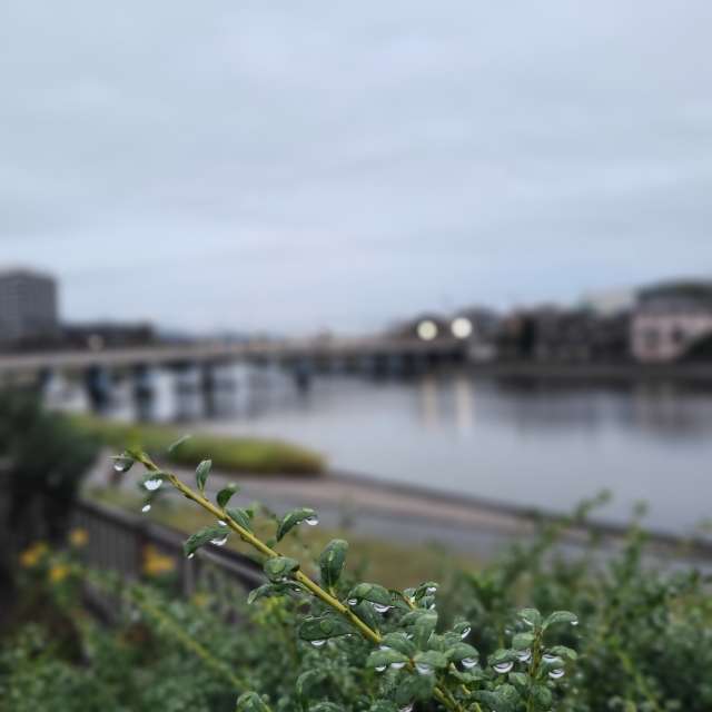 Grassy. Weather forecasts with beautiful photos by あさのジジ Photos in Okayama