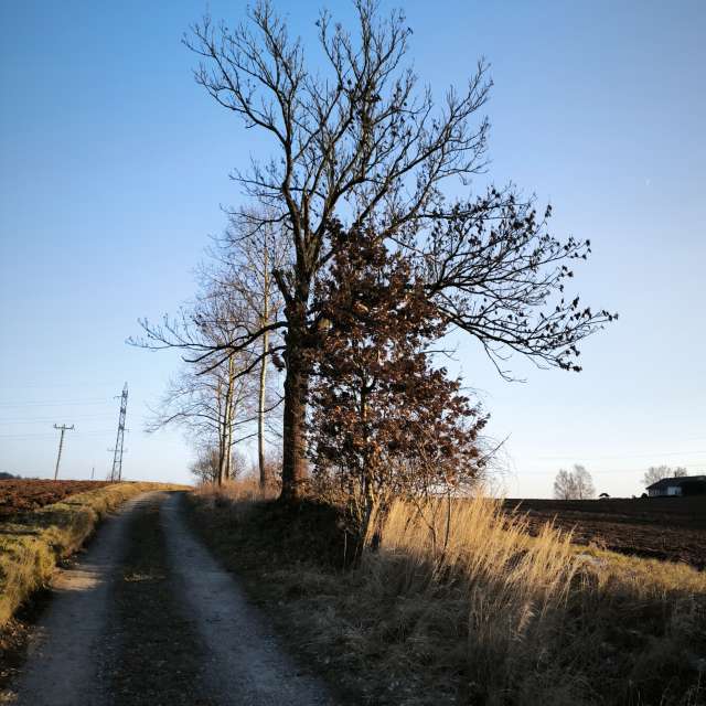 Прогнозы погоды с чудесными фотографиями, сделанными Adraj