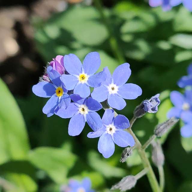 Photos météo à Monde. Prévisions météo avec de superbes photos de Belkka303
