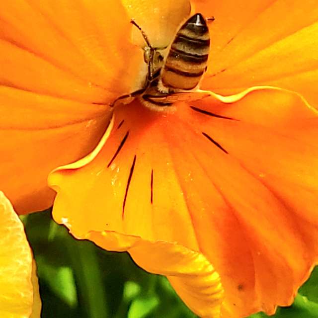 Pronósticos del tiempo con hermosas fotos de Birdy25