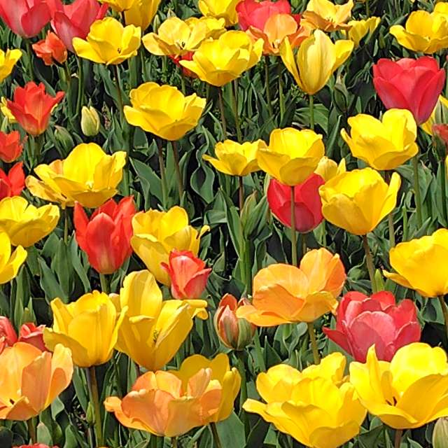 Weather Photos in World. Weather forecasts with beautiful photos by umemui