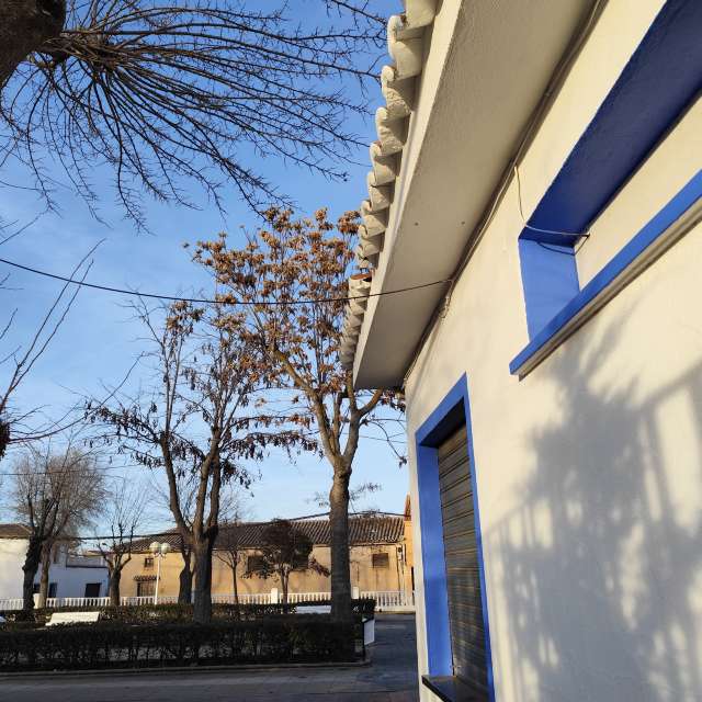 Wettervorhersagen mit schönen Fotos von M Paz Basanta Costea