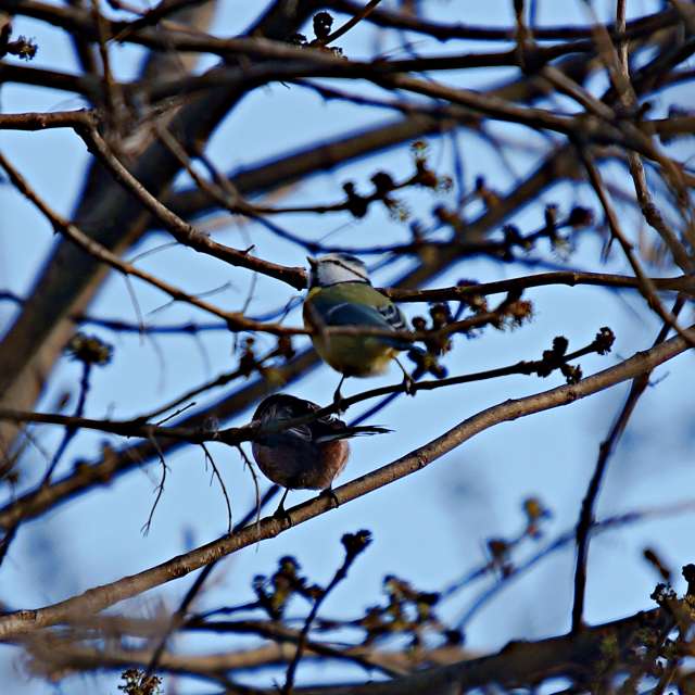 Weather forecasts with beautiful photos by tony5636
