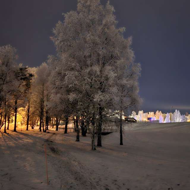 Previsões do tempo com lindas fotos de Piia