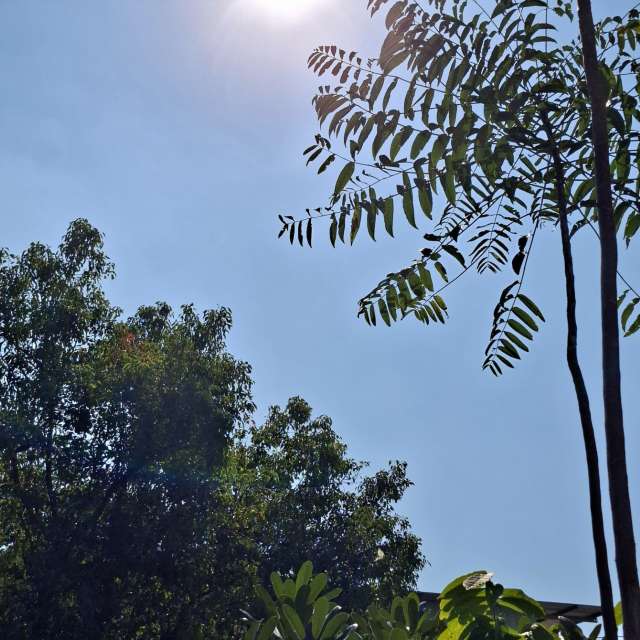 Wettervorhersagen mit schönen Fotos von Wen-ya Huang