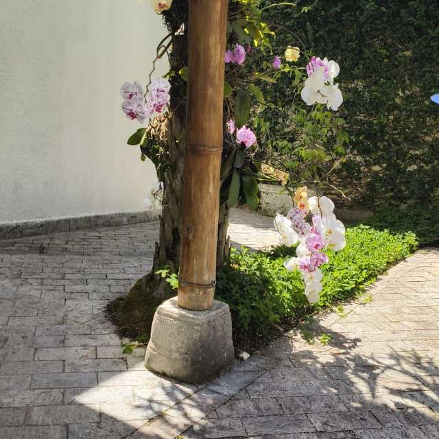 天气预报，带davidonefighter精美的照片