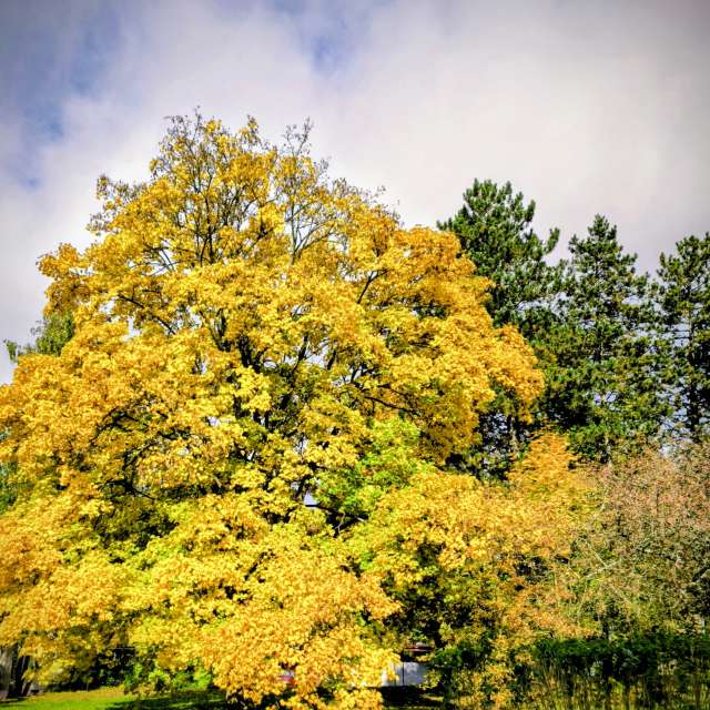 Прогнозы погоды с чудесными фотографиями, сделанными Adraj