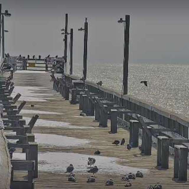 Прогнозы погоды с чудесными фотографиями, сделанными Awcat