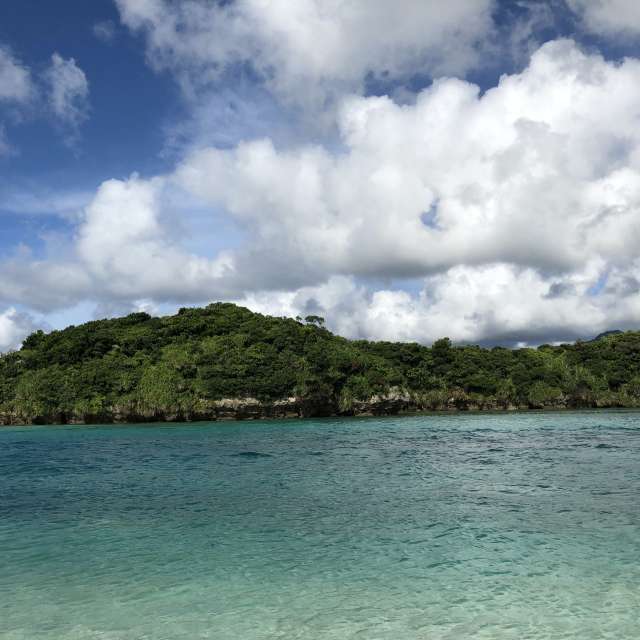 Weather forecasts with beautiful photos by web3dao