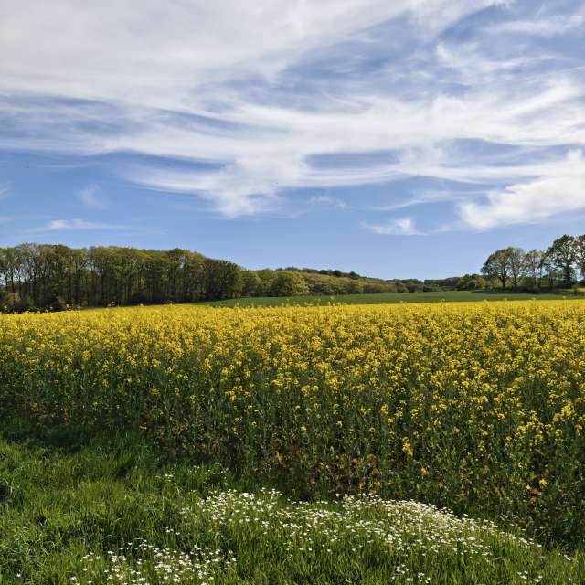 Wettervorhersagen mit schönen Fotos von dmolitor