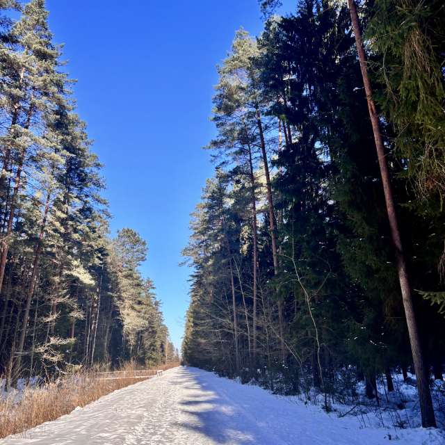 Weather forecasts with beautiful photos by Ewwa393