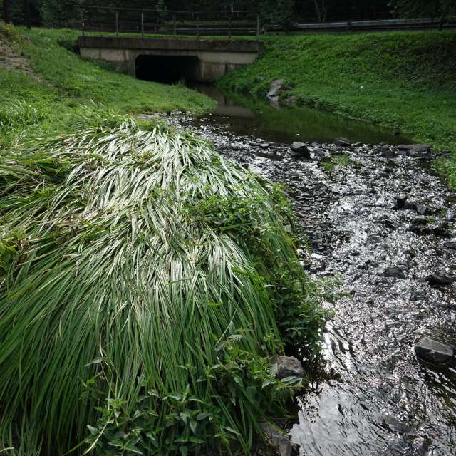 Fotos Clima. Previsões do tempo com lindas fotos de Vasek325 em Praha 12