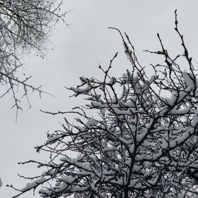 Gray. Weather forecasts with beautiful photos by Iryna Photos in Kharkiv