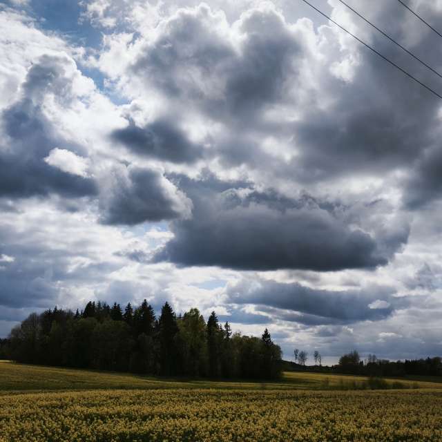 Hintergrund. Wettervorhersagen mit schönen Fotos von Valiukas Fotos Litauen
