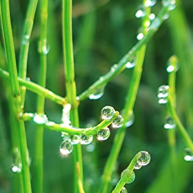 Фотографии Погоды в Мир. Прогнозы погоды с чудесными фотографиями, сделанными Brtd