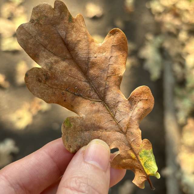 Previsões do tempo com lindas fotos de kriotis