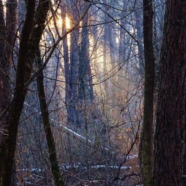 Skiing. Weather forecasts with beautiful photos by Михаил Гавриков Photos in Kharkiv