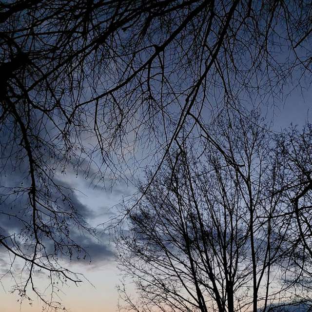 Light. Weather forecasts with beautiful photos by Iryna Photos in Kharkiv