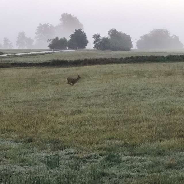 Allersberg的Weather. 天气预报，带Brtd精美的照片照片
