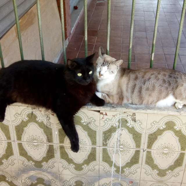 Pronósticos del tiempo con hermosas fotos de Bruy