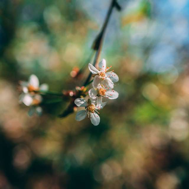 Wettervorhersagen mit schönen Fotos von Roman_Koval