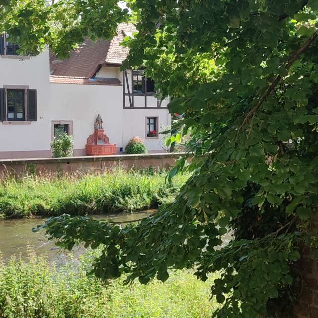 Walking. Weather forecasts with beautiful photos by Tercis Photos in Ettlingen