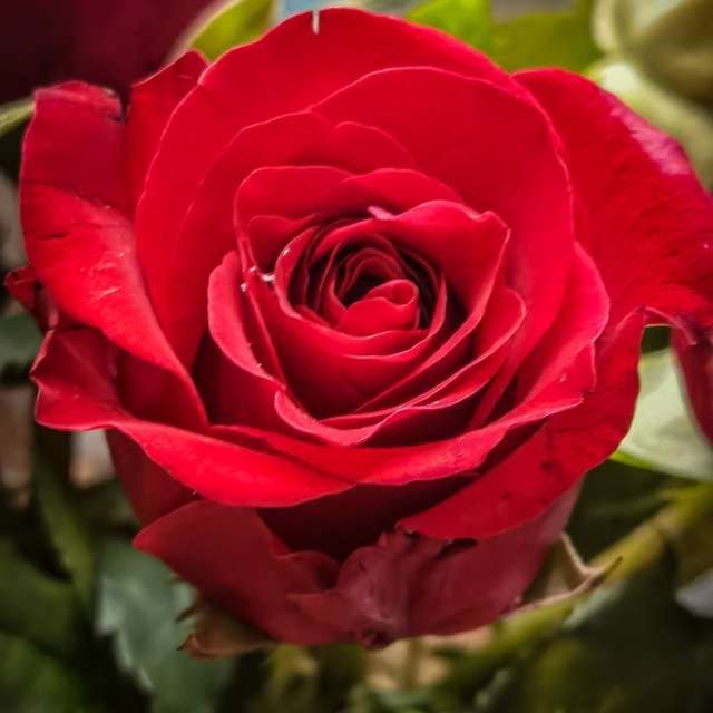 Bunt. Wettervorhersagen mit schönen Fotos von Terraza74 Fotos Lwiw