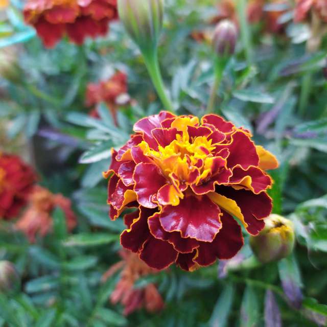 Fotos do tempo em Mundo. Previsões do tempo com lindas fotos de Elena Chayka