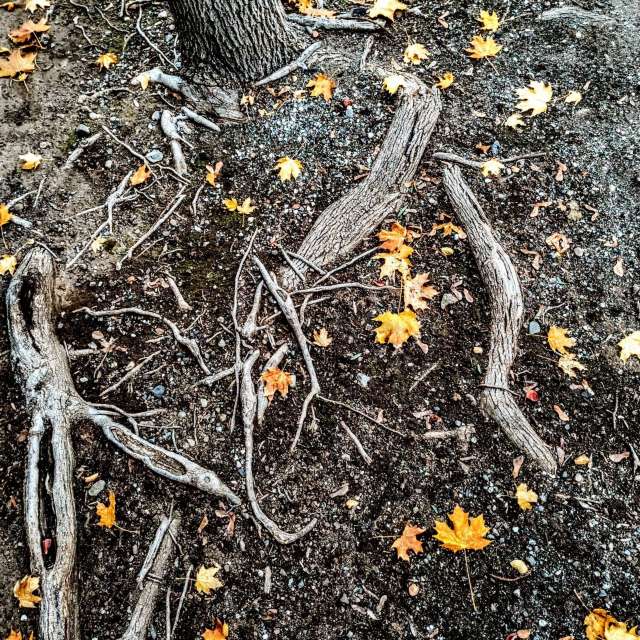 天气预报，带Ghostroku精美的照片