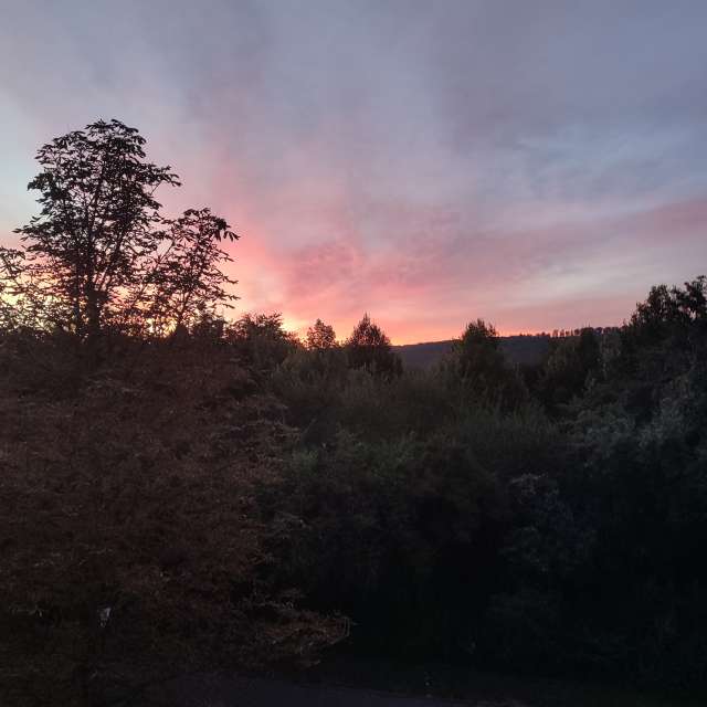 Country. Weather forecasts with beautiful photos by Tercis Photos in Ettlingen