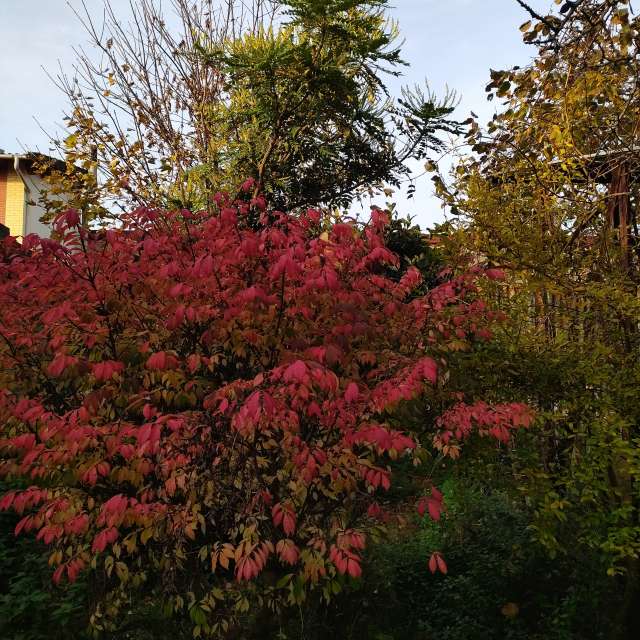 Previsões do tempo com lindas fotos de Clairette