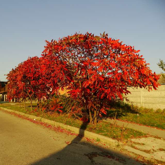 Stop. Weather forecasts with beautiful photos by Михаил Гавриков Photos in Kharkiv