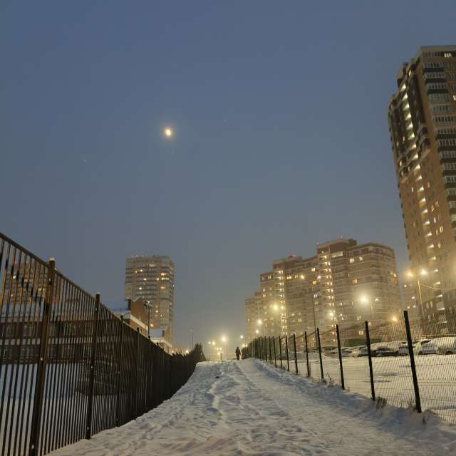 Bird. Weather forecasts with beautiful photos by Aleksei Photos in Tula