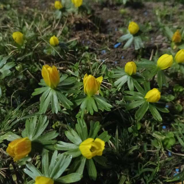 Fotos del Boca de aguas. Pronósticos del tiempo con hermosas fotos de YanBog en București