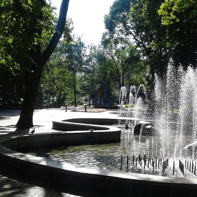Bench. Weather forecasts with beautiful photos by urashm Photos in Khmelnytskyi